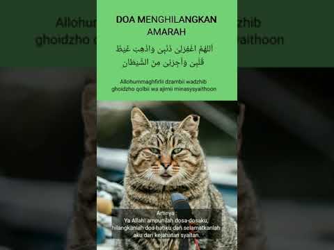 Doa menghilangkan amarah #shorts