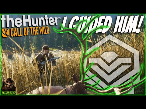 I Guided This NOOB To The Diamond Rocky Mountain Elk Of A Lifetime! Call of the wild