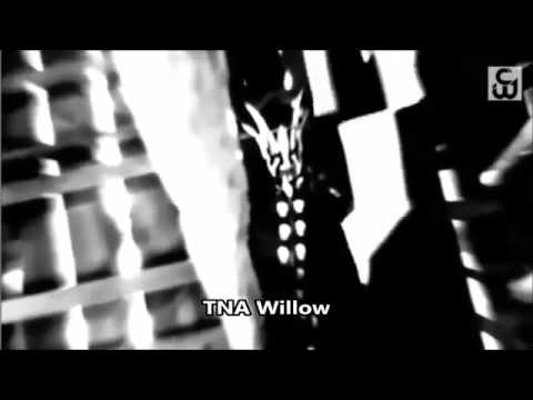 TNA Willow Custom Titantron Theme Song 2014