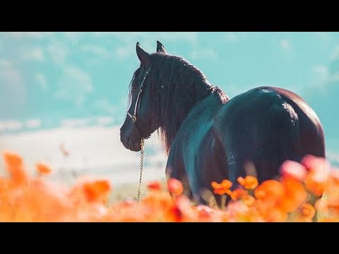 Intoxicate The Sun video thumbnail