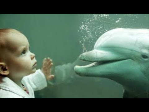 Dolphin Assisted Birth Benefits