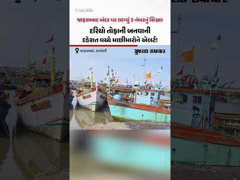 Jafrabad બંદર પર લાગ્યું 3 નંબરનું સિગ્નલ, દરિયો તોફાની બનવાની દહેશત વચ્ચે માછીમારોને એલર્ટ! Jafrabad બંદર પર લાગ્યું 3 નંબરનું સિગ્નલ, દરિયો તોફાની બનવાની દહેશત વચ્ચે માછીમારોને એલર્ટ!