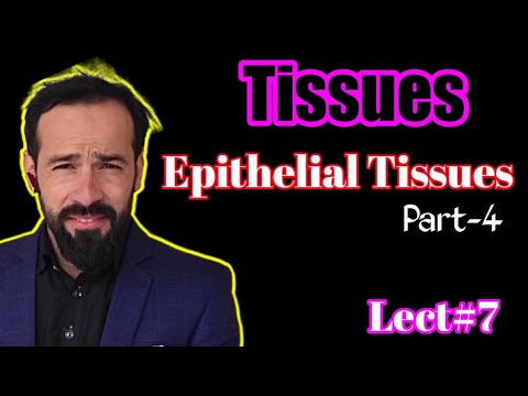 Epithelial Tissue - Structure & Function | Types of Epithelial tissues | Part-4