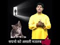 यदि सपने में बिल्ली दिखाई दें तो जाने �