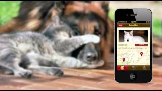 Pet Alert Mobile App Prototype