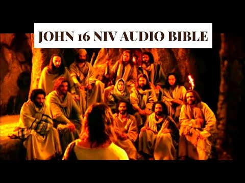 John 16 NIV AUDIO BIBLE(with text)