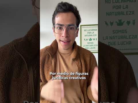 💡 Puerto Carreño está en oscuras… ¿por una empresa de los Santo Domingo? 😲