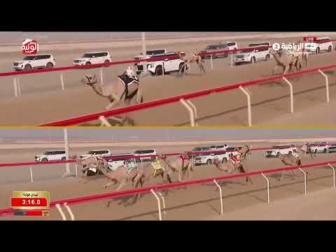 ش 19 (النادر) لـ سعادة محمد سلطان مطر بن مرخان الكتبي 6:07:14 ، شارة الديوان 2026/9/12 لقايا الوثبة