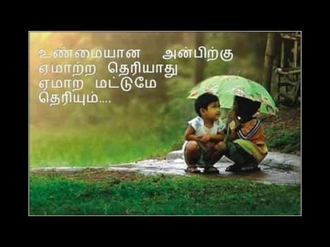 View Standards - SAS