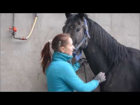 Angst vorm Alleinsein