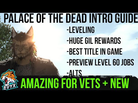 Palace of The Dead (POTD) Guide! | YOU SHOULD TRY IT!