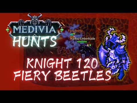 KNIGHT 120 DUO AT FIERY BEETLES - SOUTH ABUKIR - MEDIVIA ONLINE