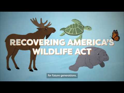 When we save wildlife, we save ourselves