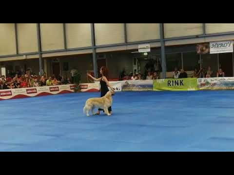 Marina and Sean, finale mondiale 2018, Heelwork to music