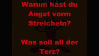 Schrei nach Liebe- die Ärzte (mit Lyrics)