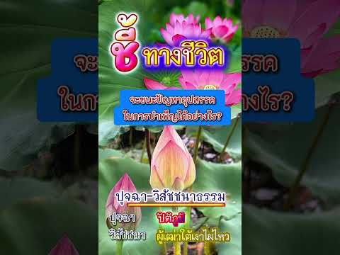 คลิกเพื่อดูคลิปวิดีโอ