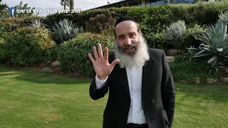 הרב יצחק פנגר | מודל כף היד