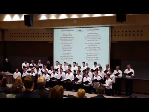 AKMUZ FER - Gaudeamus igitur