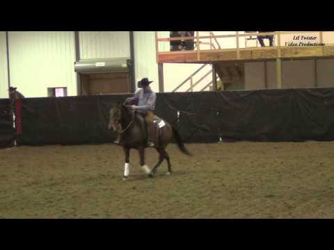 Kyle Noyce and TR Miss Colonel - Open Bridle - Nov. 3, 2012