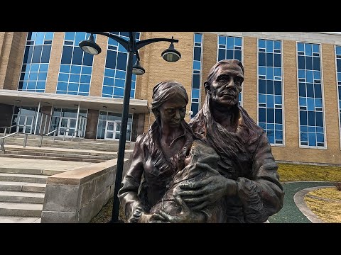 "Cinematic Drone Tour: Confederation Building & Historic Statues of St. John's | DJI Mini 2"