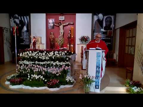 Homilia z  23.04 godz. 17.00 - "Patron dnia - Ewangelizacja Św. Wojciecha" - ks. Marek Rzeźnicki