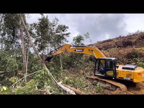 PROJECT WORK IN FOREST.! EXCAVATOR WORKING ON MOUNTAINS..FORESTRY LAND CLEARING ~ EXCÀVATOR #sany