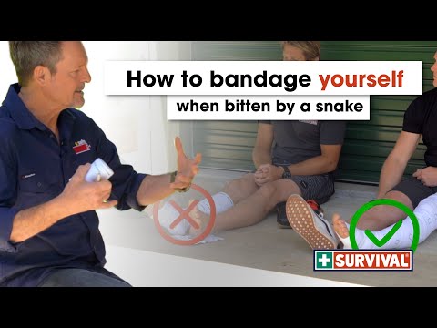 How To Bandage Yourself When Bitten By A Snake