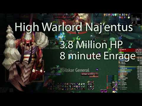 How to Naj'entus - Black Temple Boss Raid Guide TBC Classic Tier 6 Phase 3