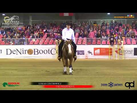 CSG PIGGIEMOVE - Łukasz Czechowicz  (Sire: Colonels Shining Gun)