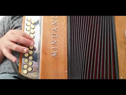 Vídeo aula da música "Pau que dá cavaco" na gaita ponto Dó Maior