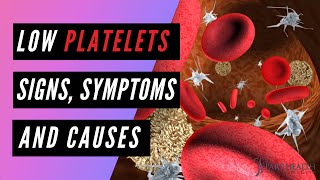 Low Platelets Signs and Symptoms