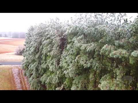 02-12-21 Stokesdale, NC - Ice Aerials