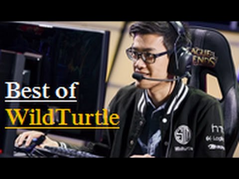 Best of WildTurtle - Highlights, Plays & Funny Moments Montage