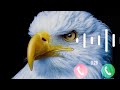New Eagle Sound Me Ringtone Baj Ki Aavaj Me Ring Ton BT GAMING Viral Support