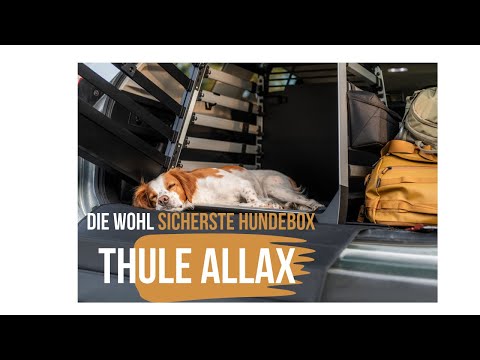 THULE Allax Hundebox die wohl sicherste Hundebox für den Kofferraum