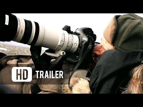 The salt of the Earth | Official Trailer