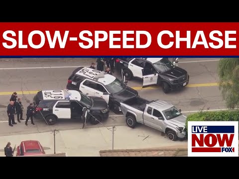 Video | Slow-speed chase: LAPD pursuit turns into standoff after woman allegedly hit man with car