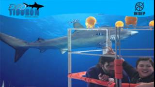 DIA 3 Expo Tiburon41