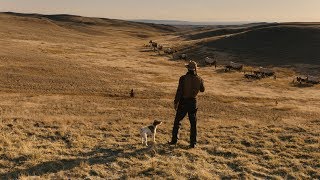 ЛУЧШИЕ ФИЛЬМЫ NETFLIX КОТОРЫЕ ВЫШЛИ В HD КАЧЕСТВЕ ВО ВТОРОЙ ПОЛОВИНЕ 2018 ГОДА