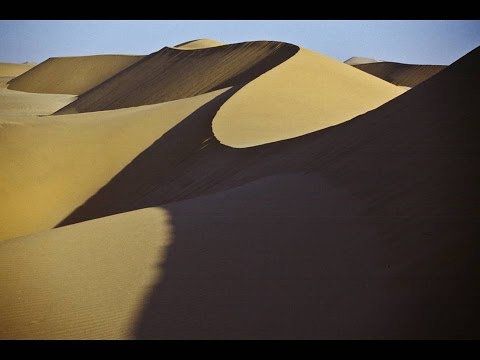 Desert Heat - John Siegel