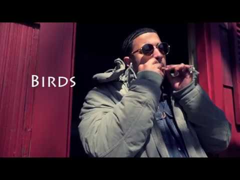 Krauzer Rick - Birds