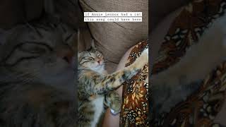 if Annie Lennox had a cat #eurythmics #catkneading #lamejoke