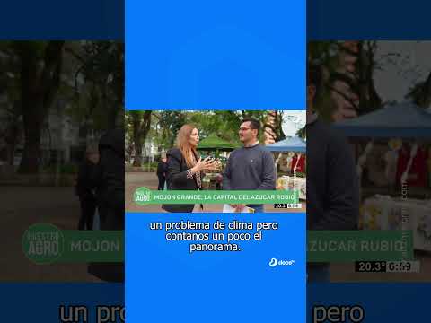 Mojón Grande, la capital del azúcar rubio