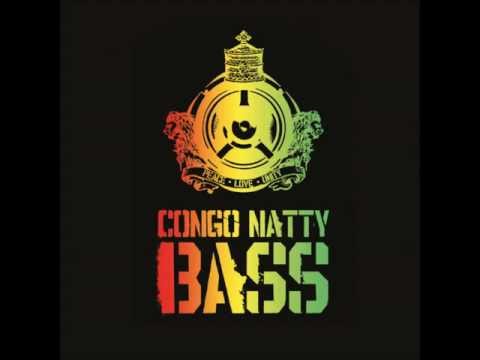 La La and Boo Ya feat Lady Chann & Congo Natty - Lioness (Vital Elements Remix)