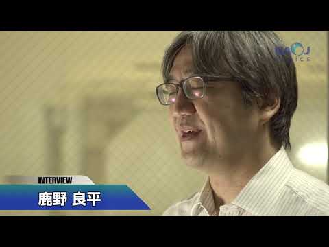 フィルターを通して見た光球。黒点の存在により、簡単に識別できます。