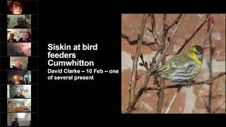 What Bugs Me About Cumbria