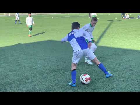 Wippolder- DHL 26-03-‘22