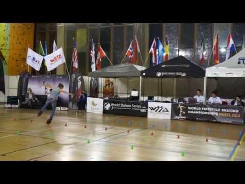 WFSC 2014 / Zenkova Anastasia 6 place