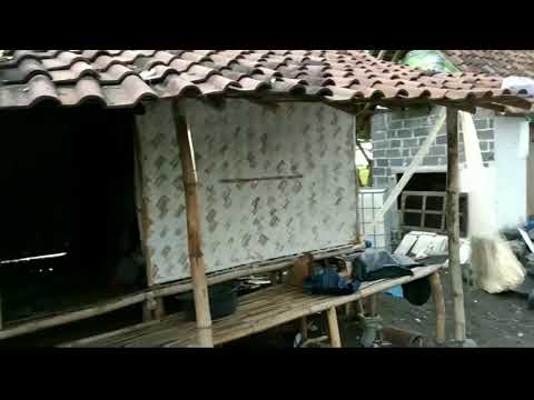 IMPIAN ANAK PESISIR PANTAI