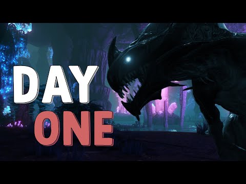 HOW A 8000 HOUR SOLO PLAYER STARTS On WIPE DAY